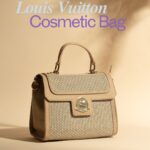 Louis Vuitton Cosmetic Bag